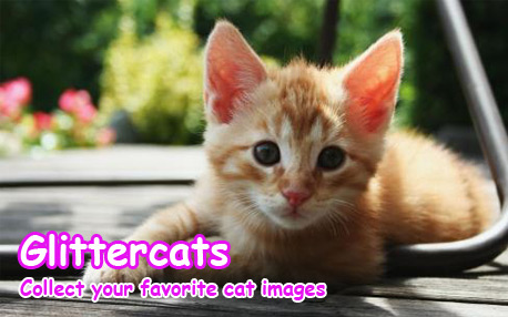 Glittercats
