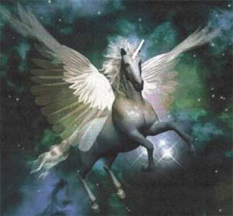 Unicorn Pegasus in Space
