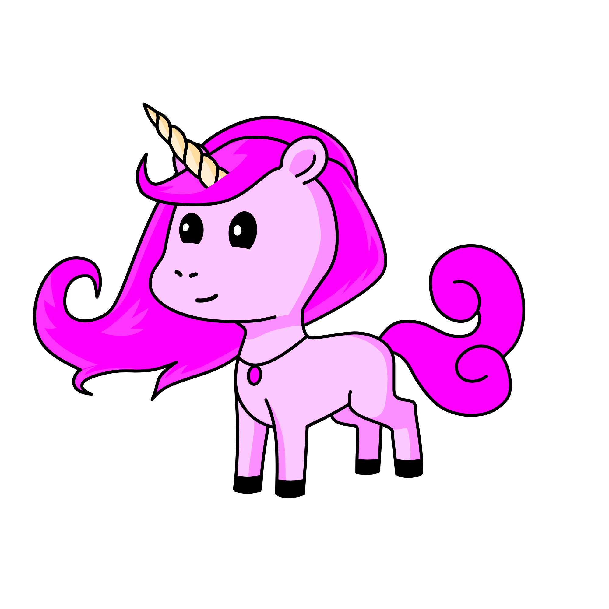 Please enter a name... "no" *presses Next* "it did not work!!!", the unicorn