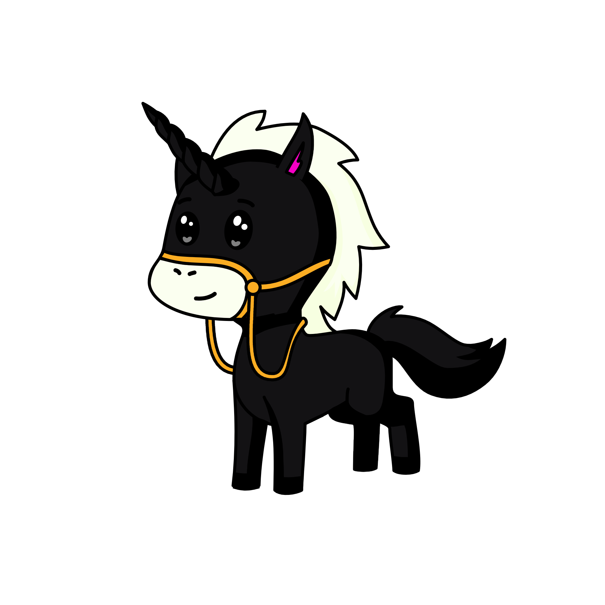 Shadow, the unicorn