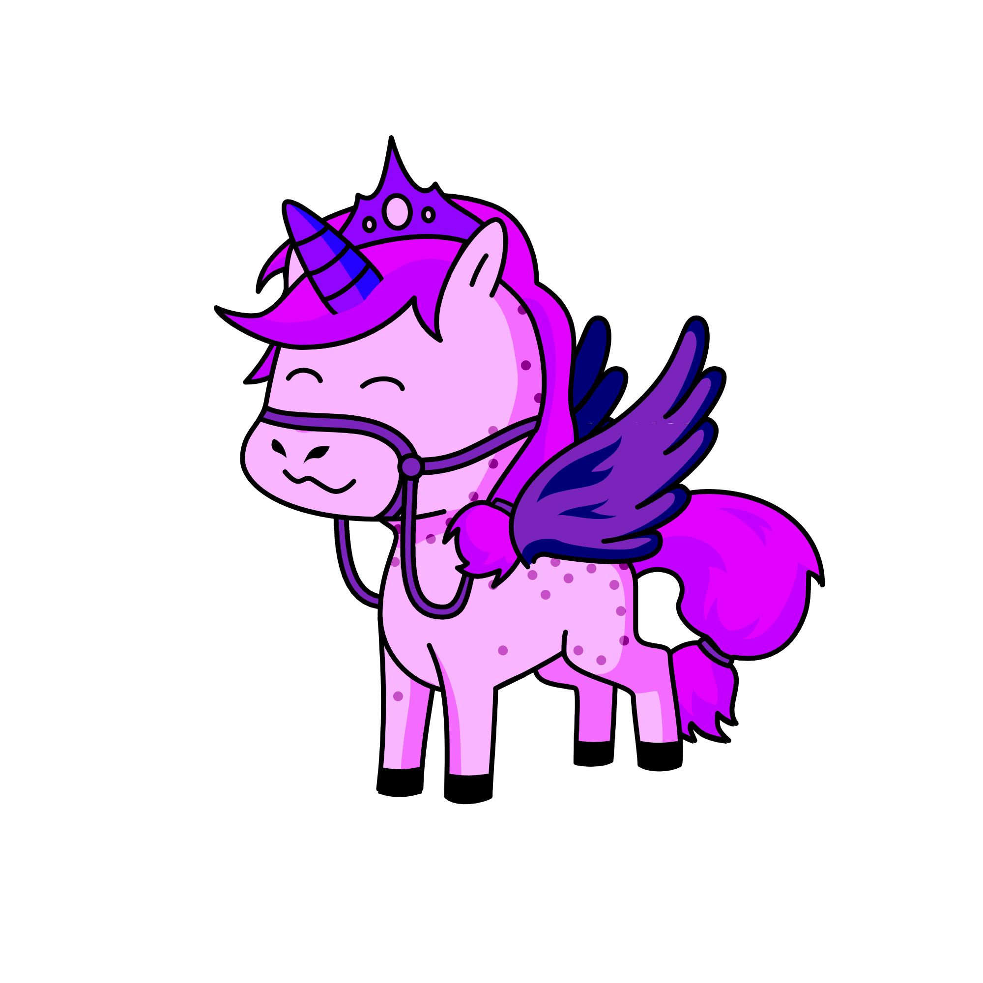 princess, the unicorn