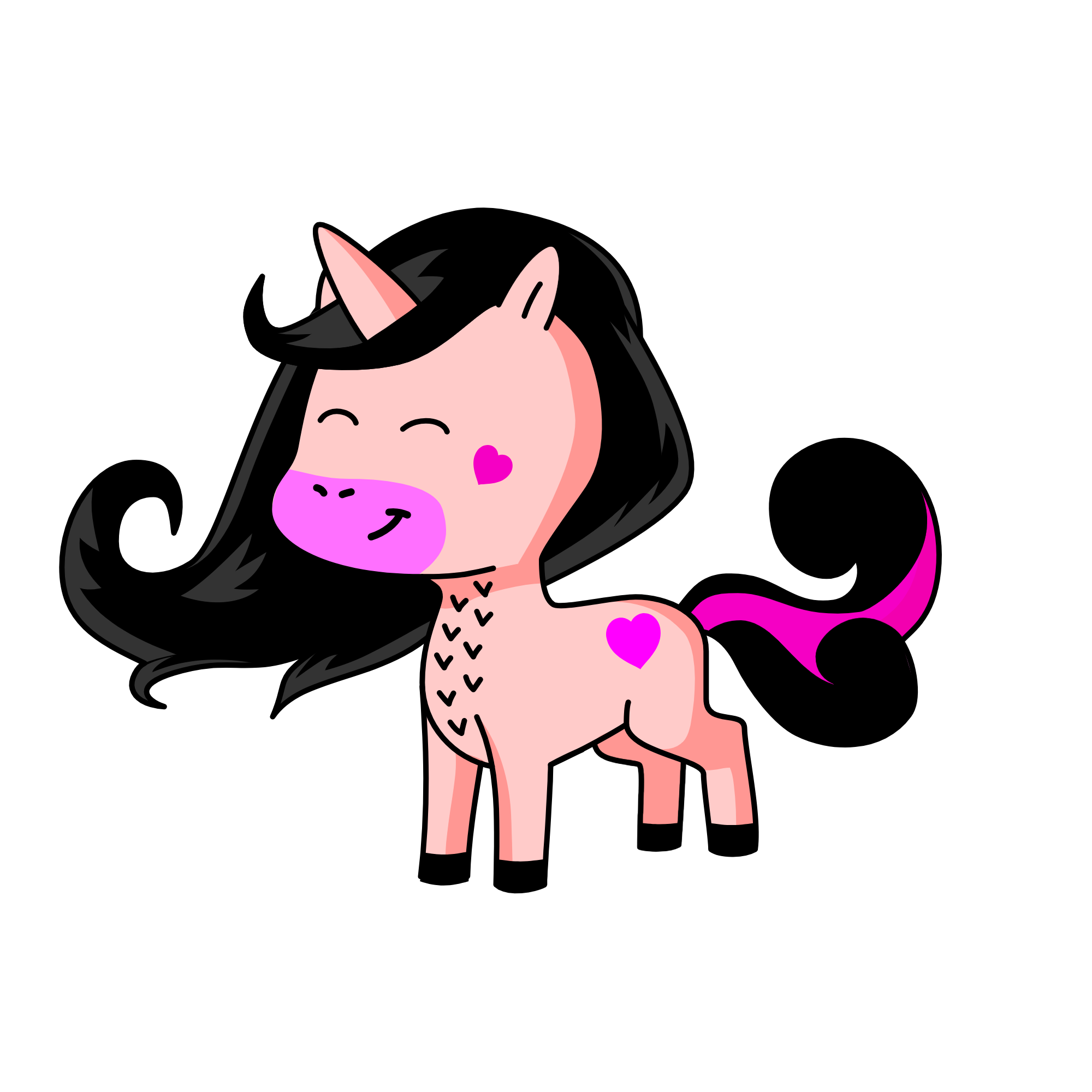 BLAKCPINK , the unicorn