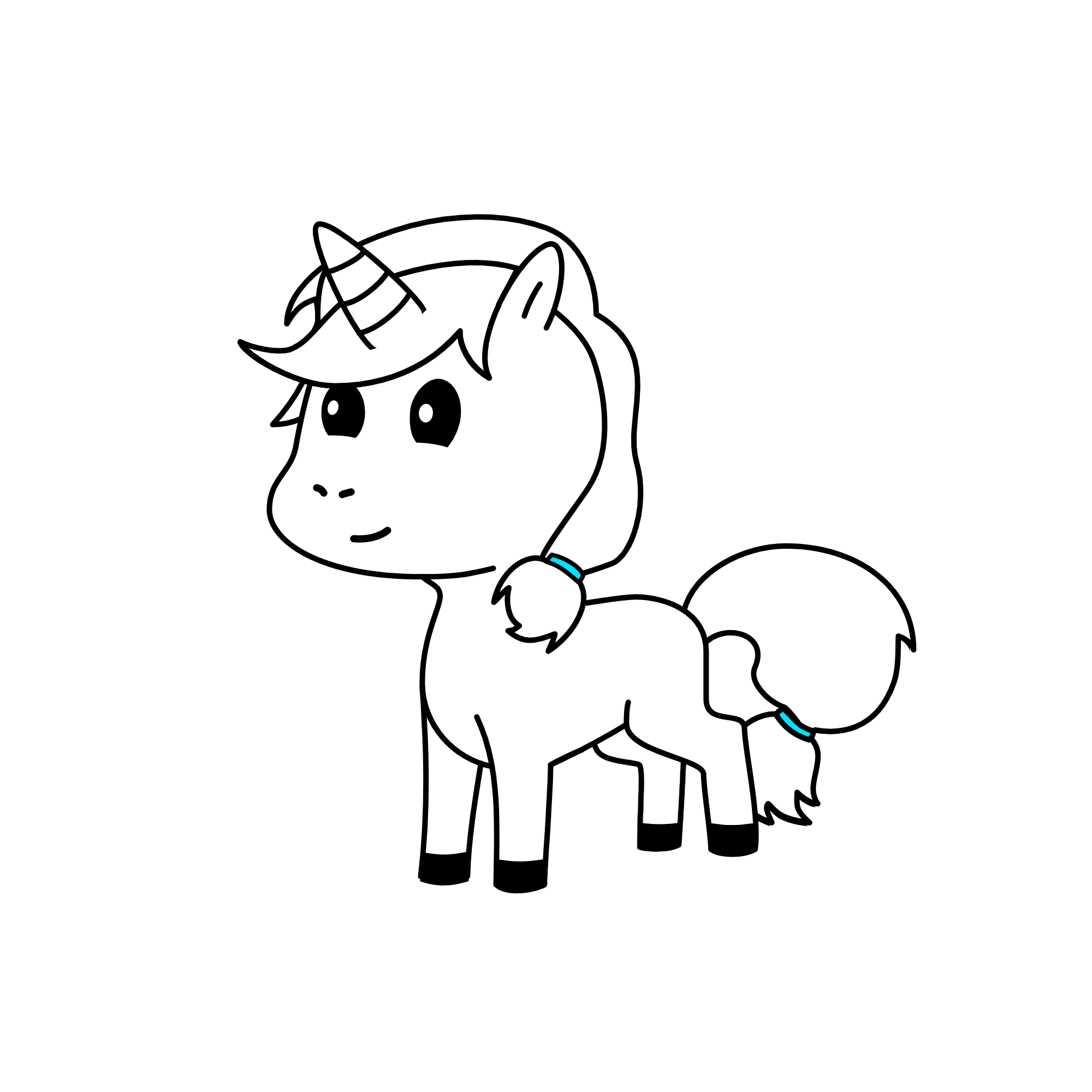 blank, the unicorn
