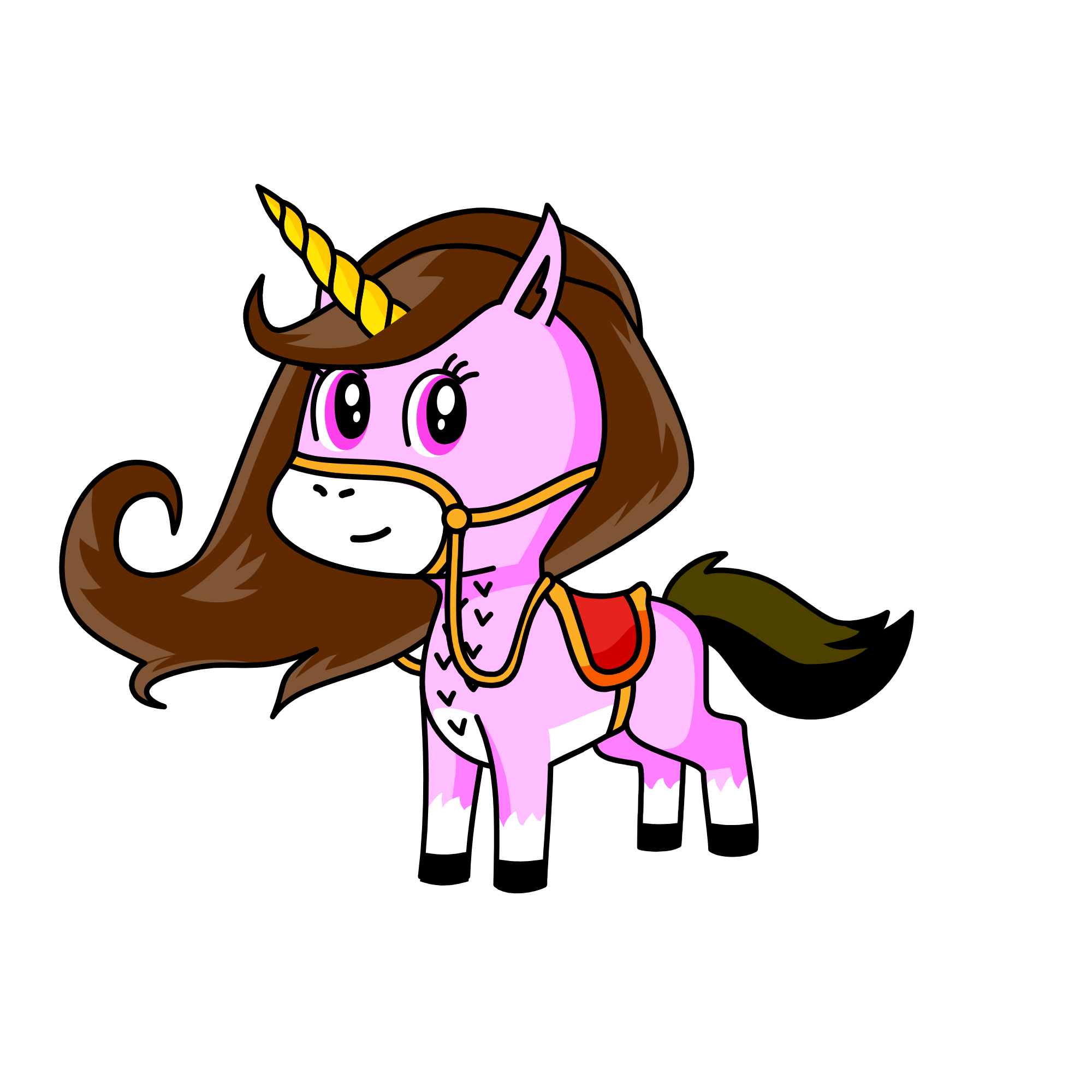 Shreenidhi, the unicorn