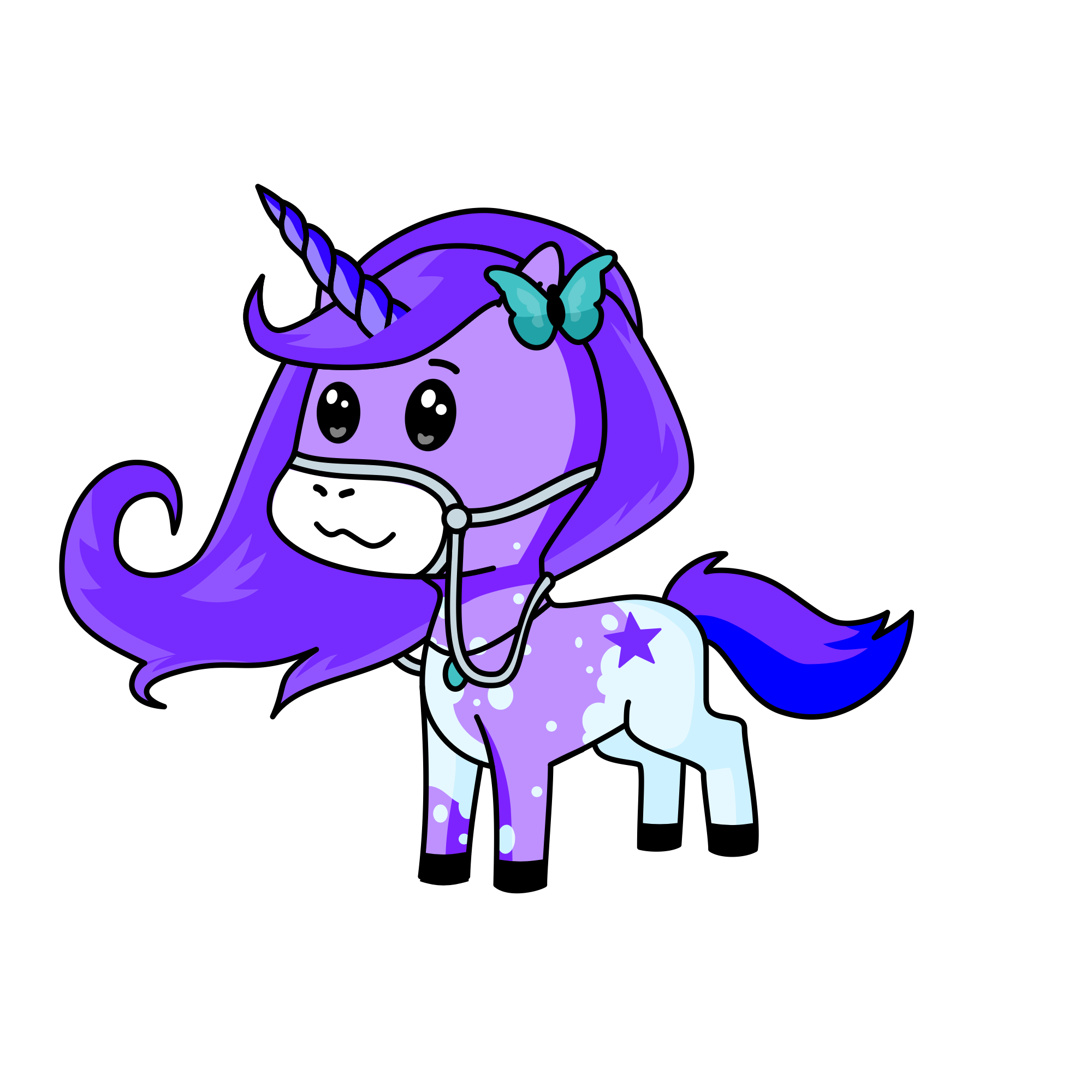 Galaxy, the unicorn