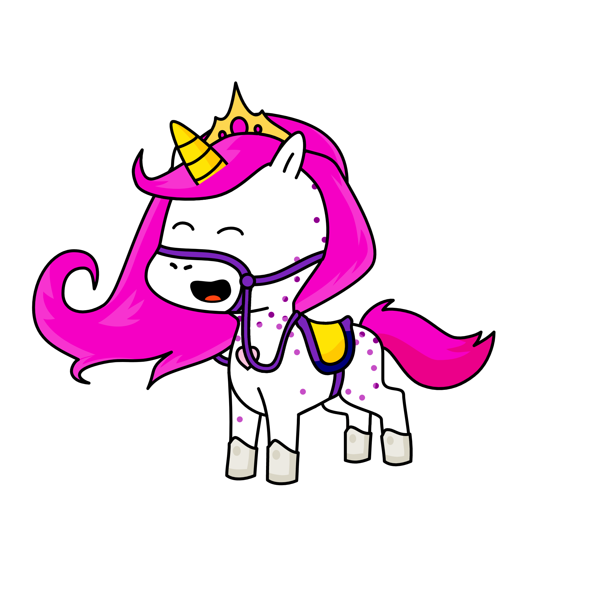 the princess of happyness, the unicorn