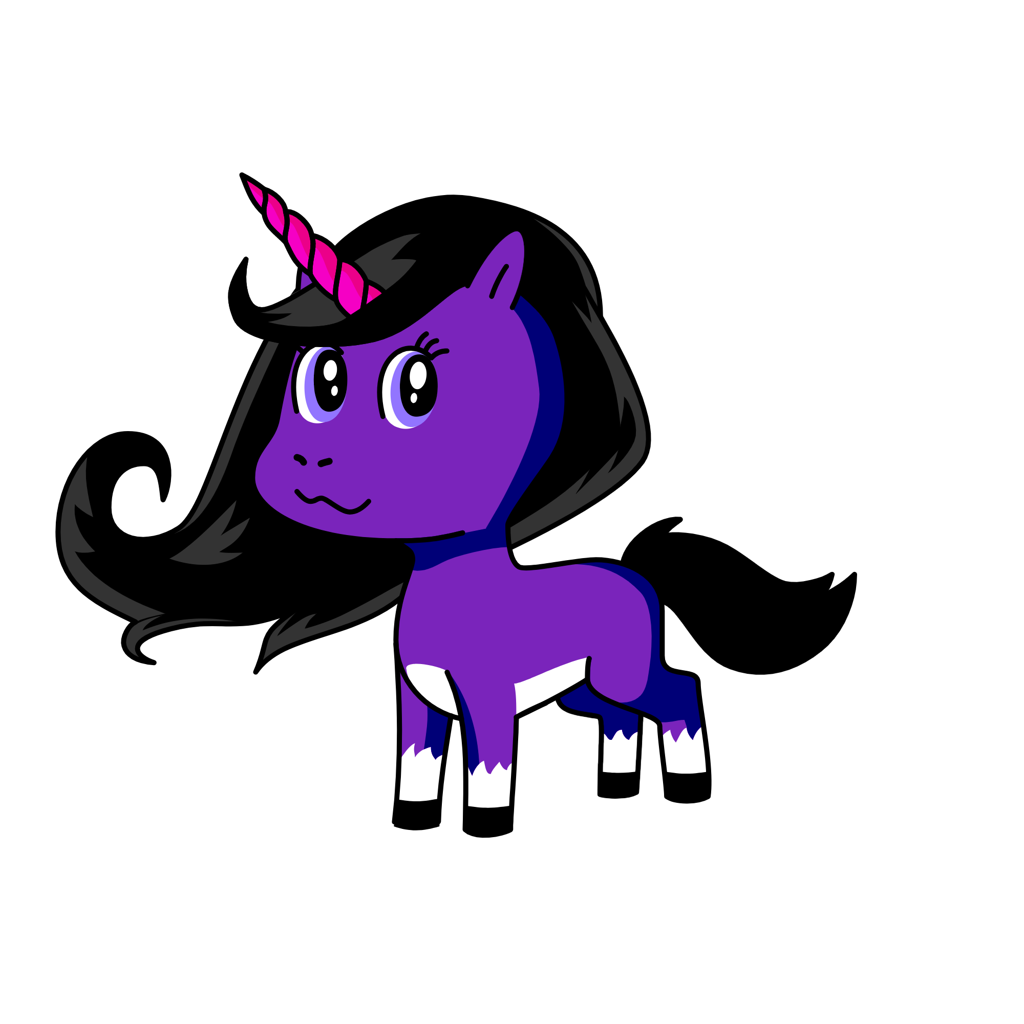 PRESIDENT OF UNICORNS , the unicorn
