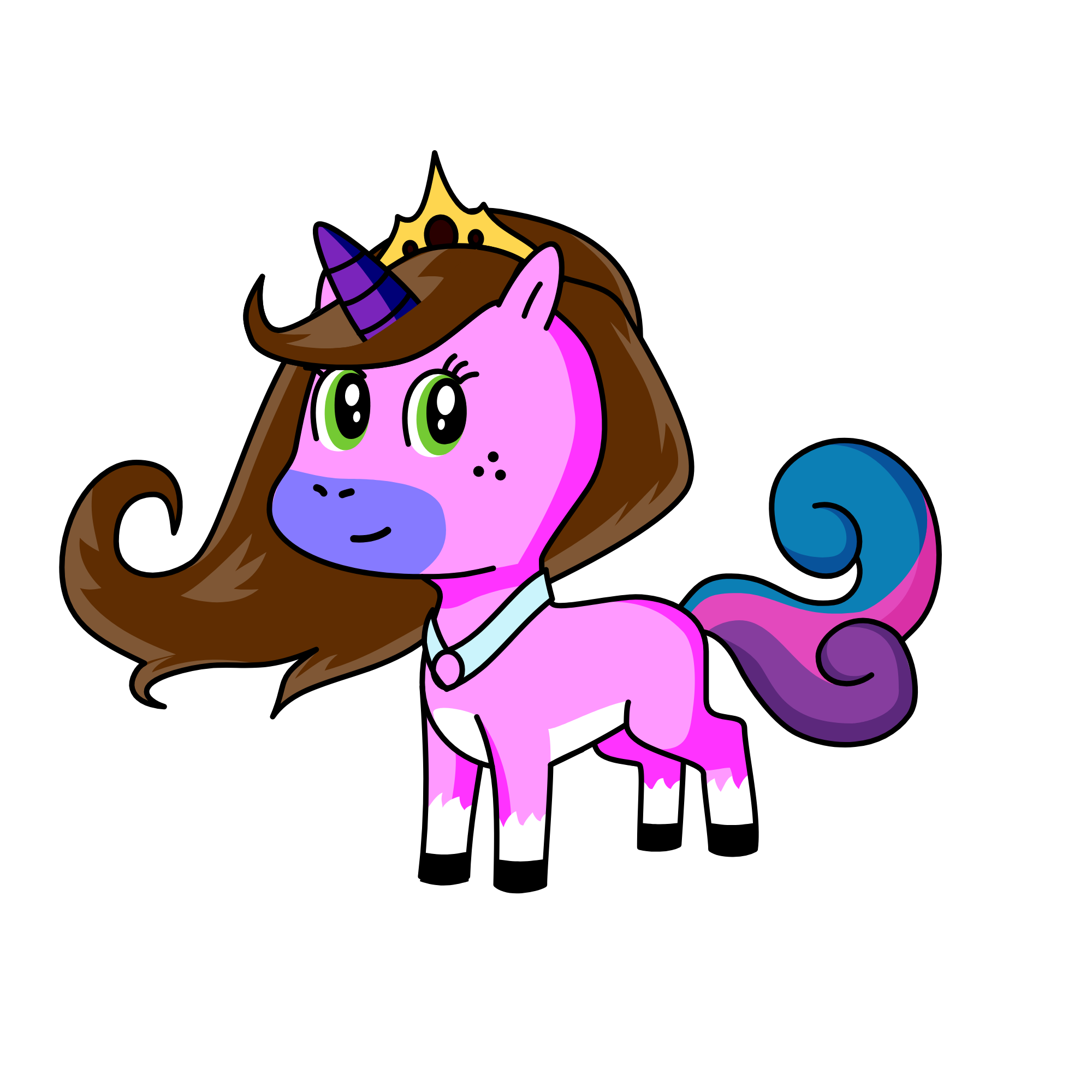 SOUNI, the unicorn